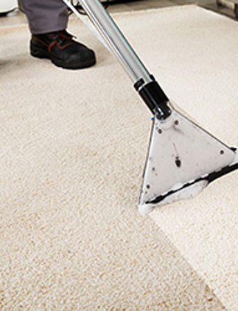 Carpet Cleaning