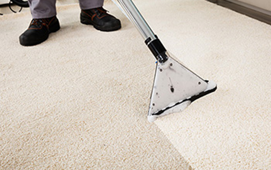 Carpet Cleaning